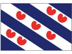 Bootvlag Friesland (Grootte: 70 X 100cm)