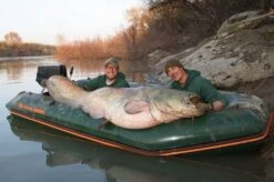 Kolibri KM-330D Professional Karperboot -Besto Winkel Afbeelding 10 20 6 1