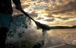 Minn Kota Traxxis 80 Elektromotor -Besto Winkel Afbeelding 20 00448091 6 1